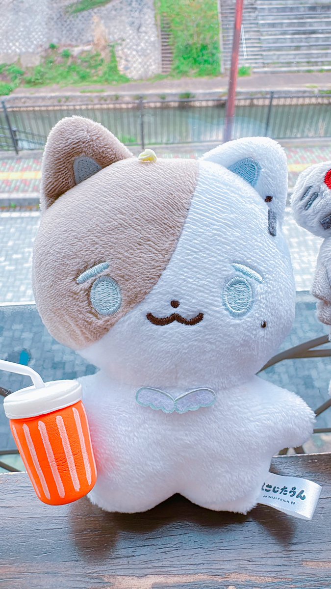 最近のたうんでやっぱり可愛いのは、相方のぽぷこんを貪ったであろうくいしんぼうたうんだなぁ。