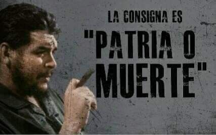 Patrik Hernández tweet media