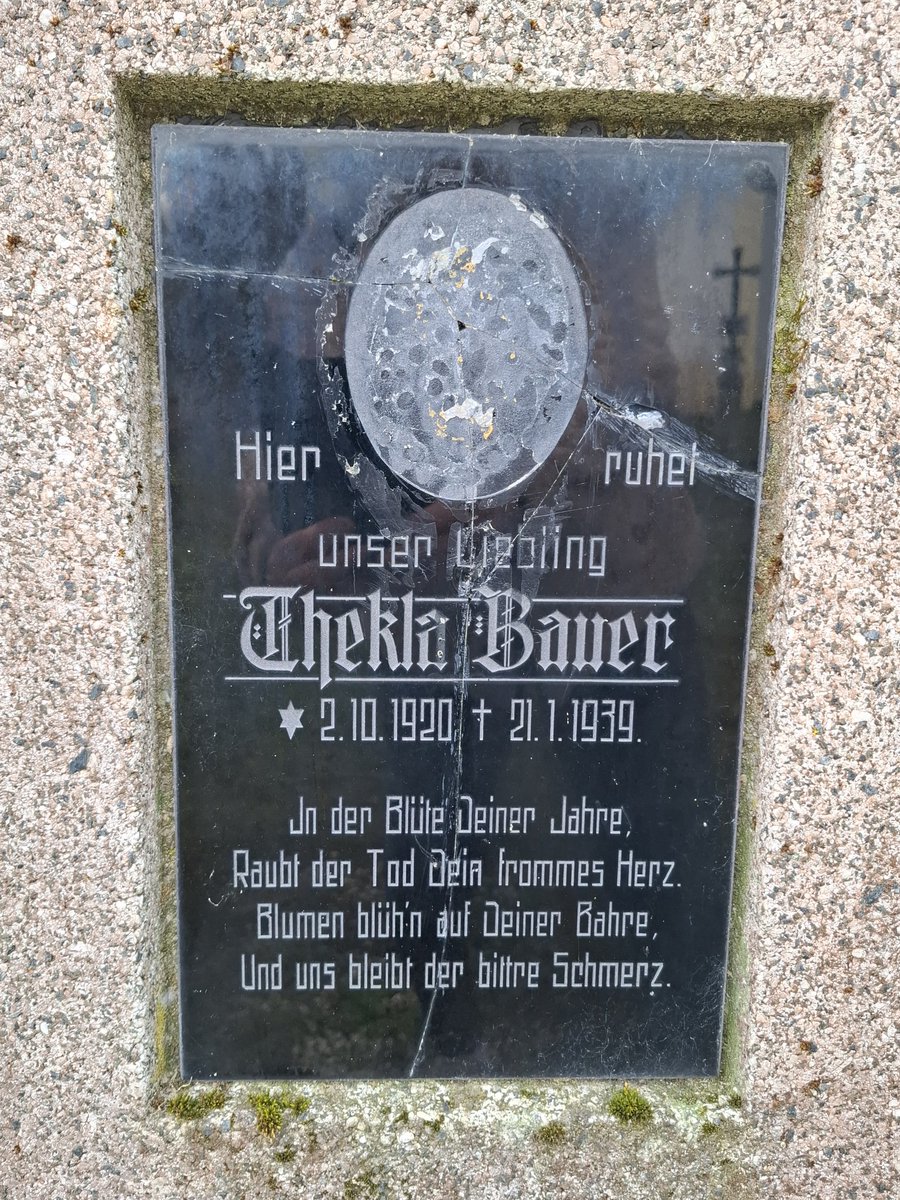✨️dagmarkuntscher ✨️ tweet media