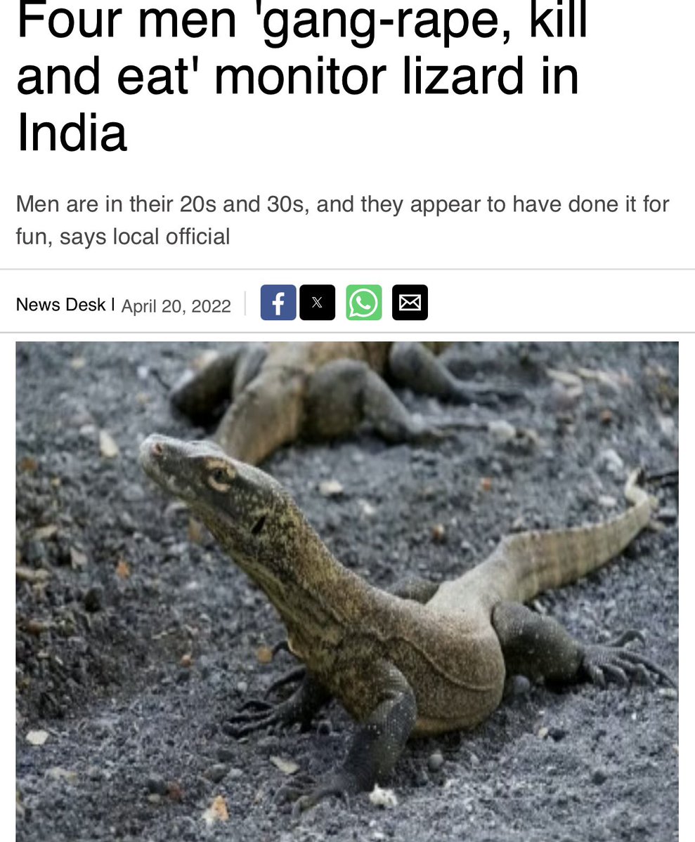 Canadian Fren tweet media