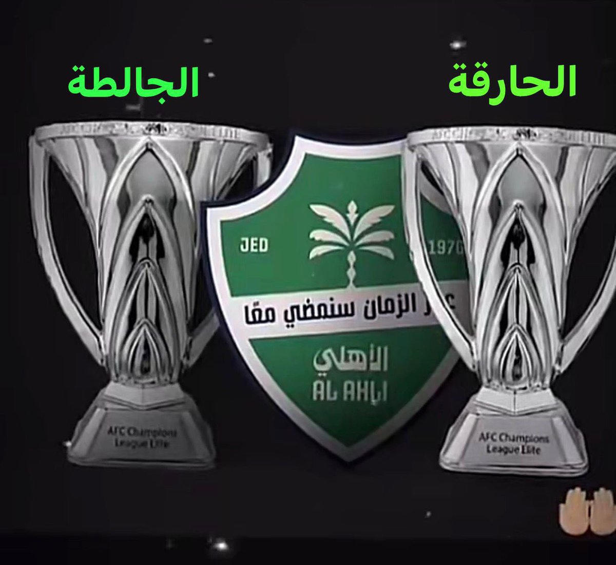 ملكي بطل القارة 💚 tweet media