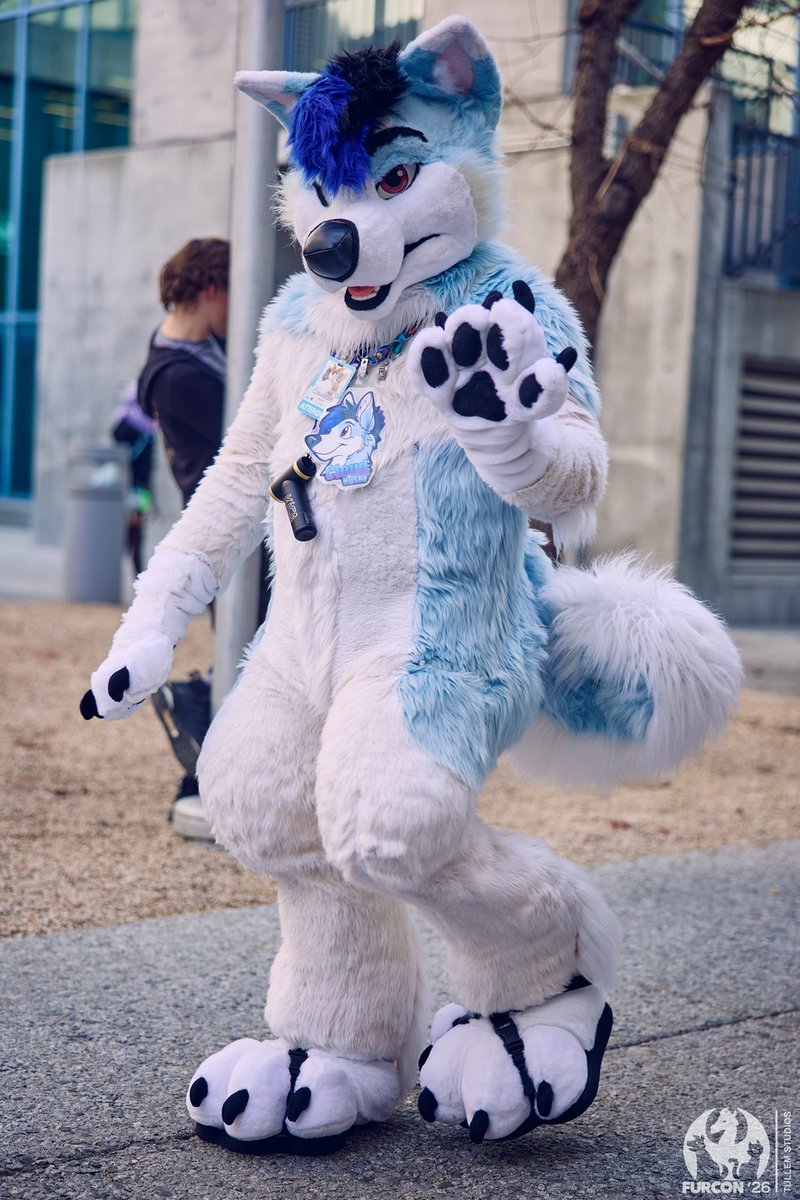 Cloud Husky Landar #MP tweet media