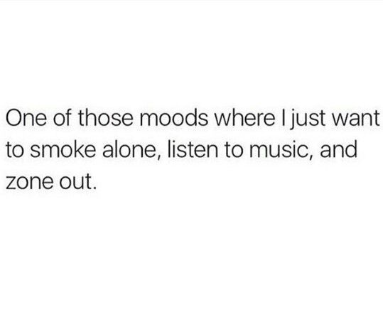 💨🍃 tweet media