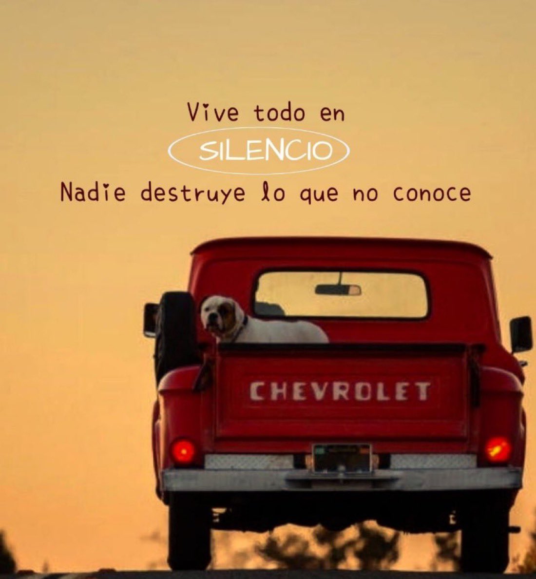ᴊᴜᴀɴғʀᴀ ʜᴏᴍs (@juanfhoms) on Twitter photo 