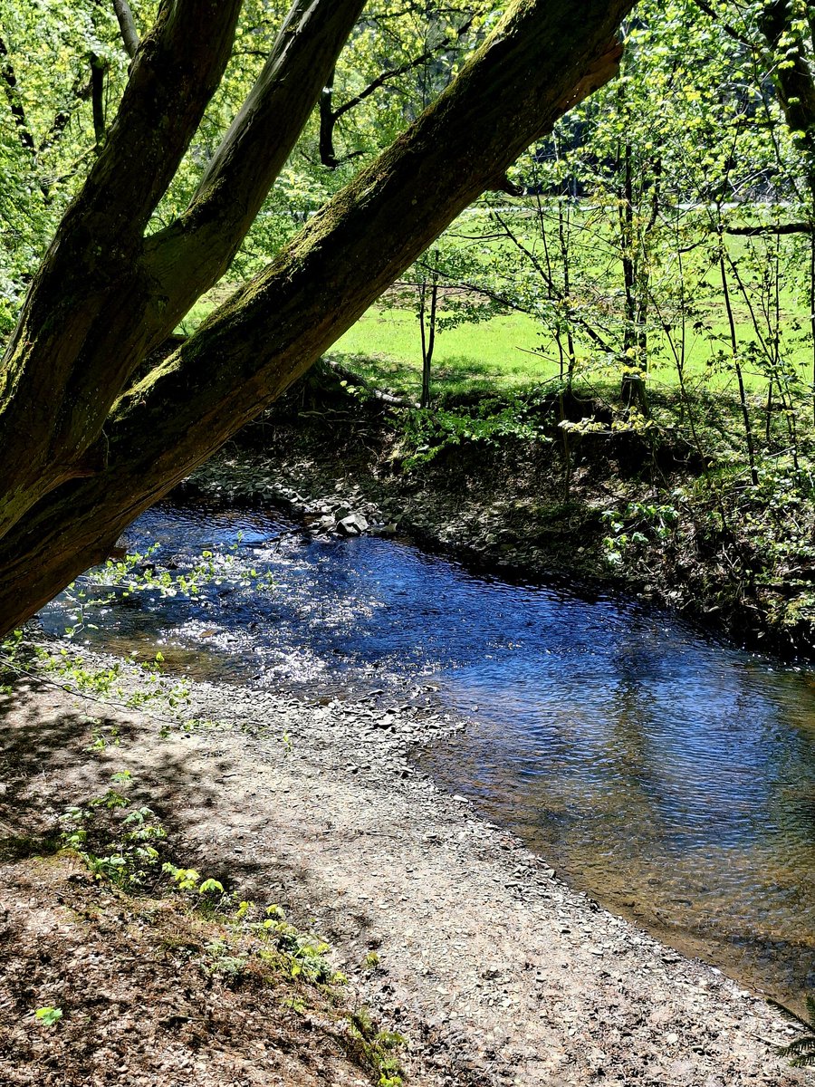 LvthnE59575's tweet image. Share your shots for Flow Friday 🌊

Take a new photo or choose one from your gallery!

#FlowFriday #HappyFriday 
#weekend