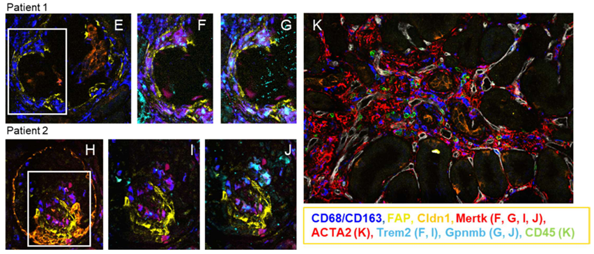Waggoner Lab tweet media