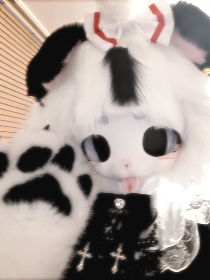 레레코 tweet media