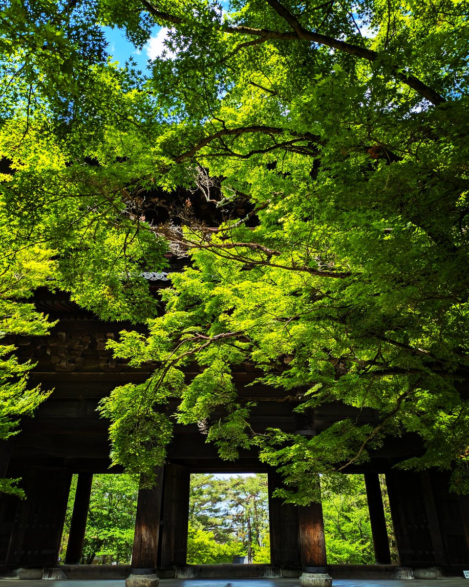 京都ぶらりhiroshi0369 tweet media
