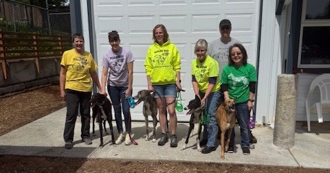 Greyhound Pets, Inc. 💙 tweet media