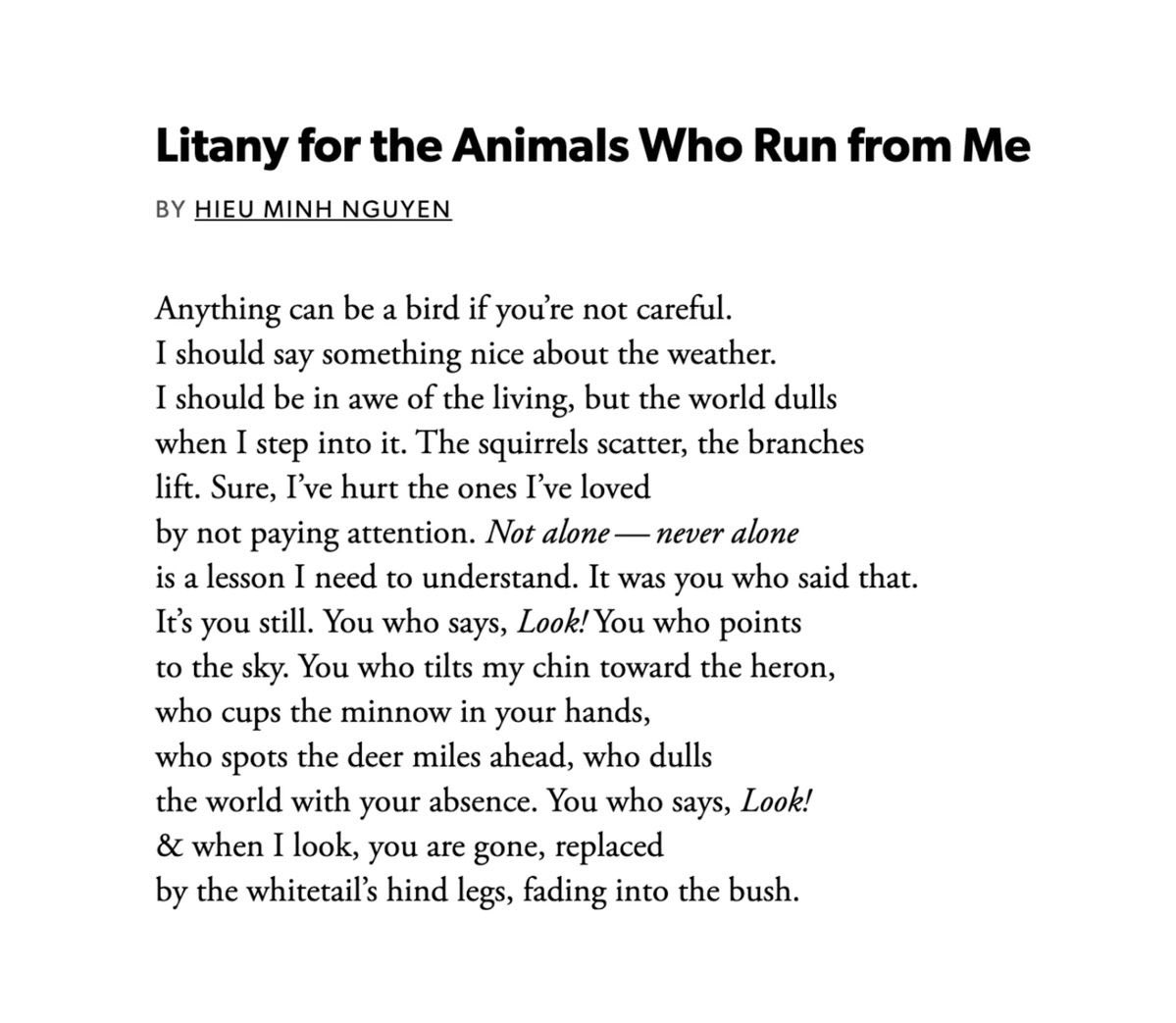 poems for namjoon tweet media