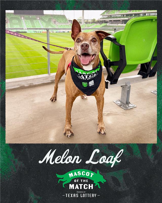 Austin FC tweet media