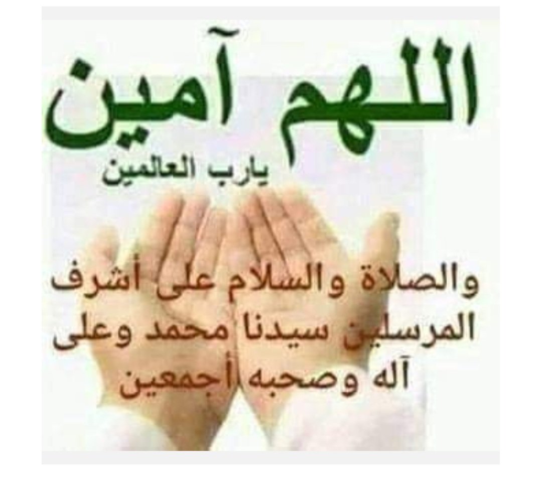 محمد عثمان البريجي tweet media