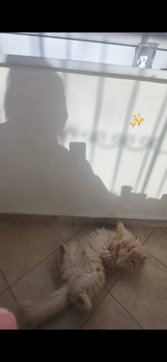 Themelekall's tweet photo. bir su havaları severim camdan bakarken bir de sen🎀 https://t.co/Du6xEldDc3