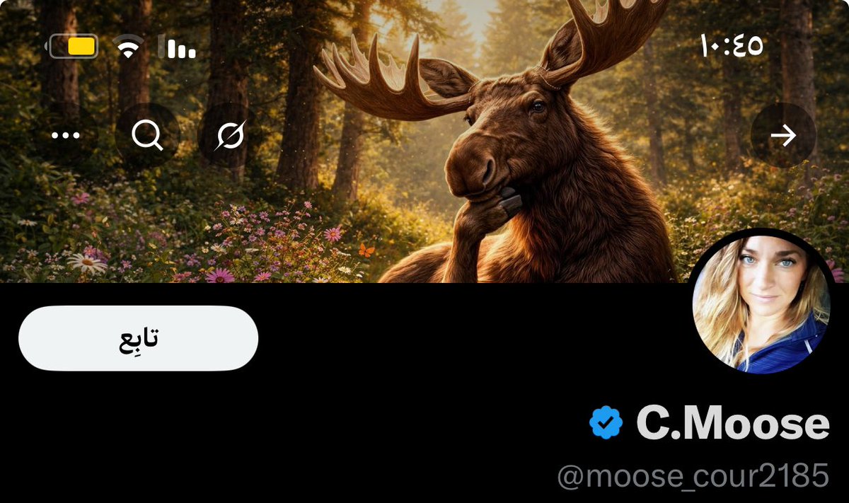 Ni tweet media