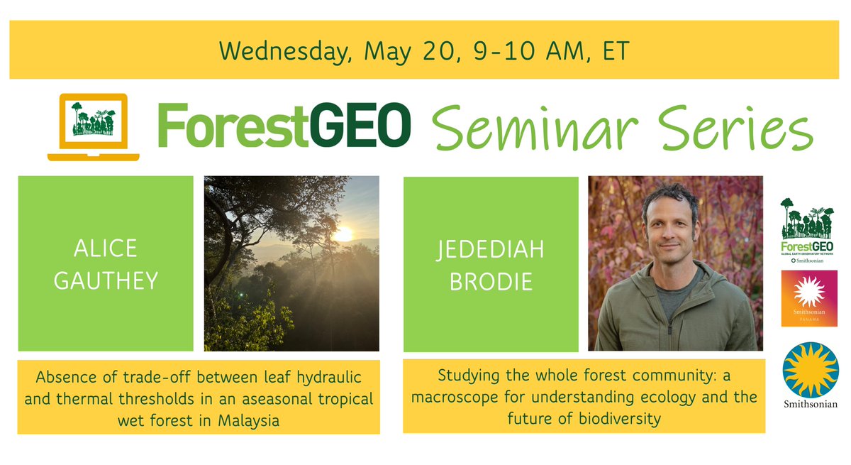 ForestGEO's tweet photo. Join us for ForestGEO's May Seminar Series! This month, our speakers are Alice Gauthey &amp; Jedediah Brodie 🌿Register here: https://t.co/ThY7qItIJr https://t.co/slwZs2PB2V