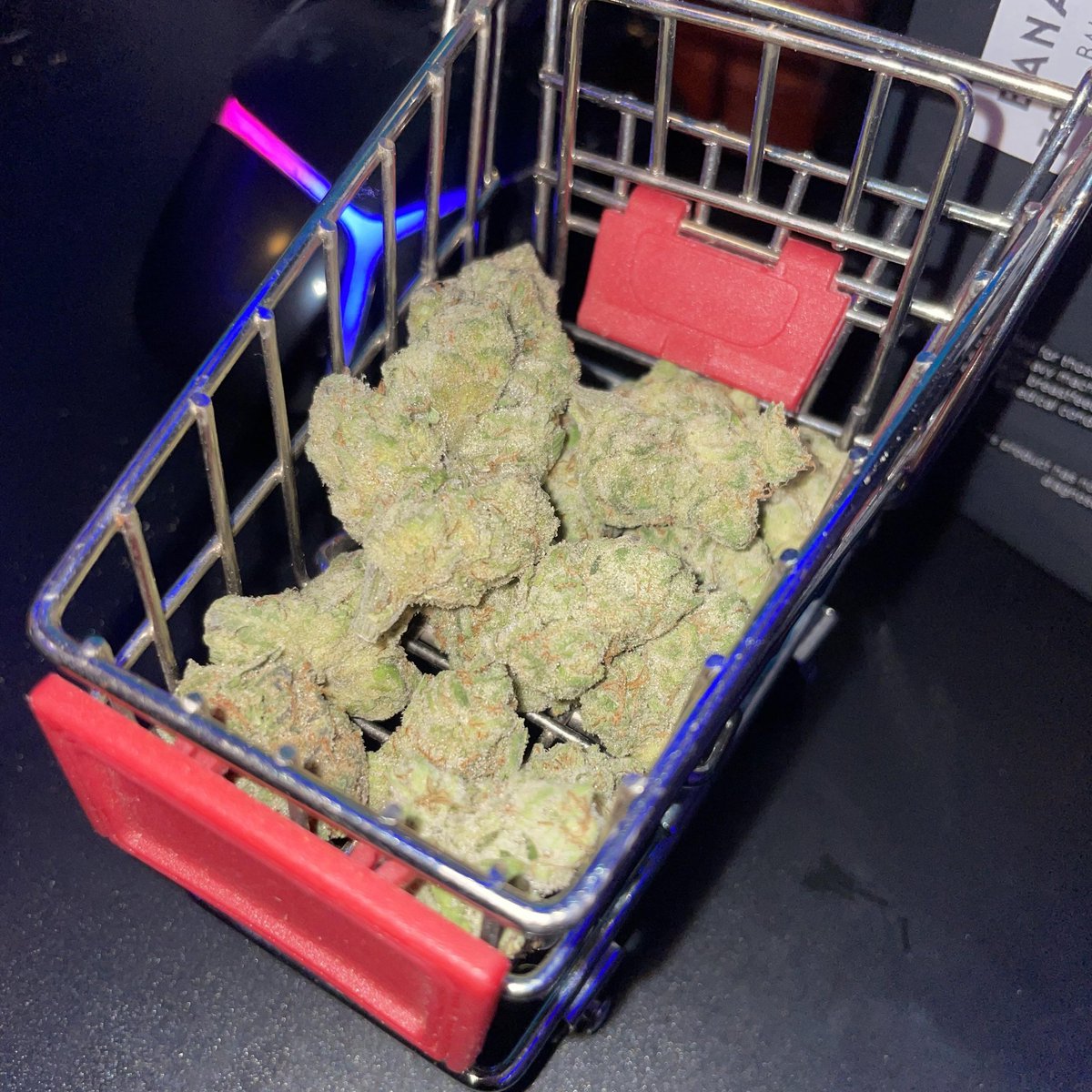 Kentuckytrees's tweet image. Does anyone have this as thier Favorite weed strains #Lemon_Cherry 🍋🍋 #Kentuckyplug Lexington  #Weedlovers  Louisville  Paducah Cincinnati Montgomery Richmond  Owensboro  Evansville
