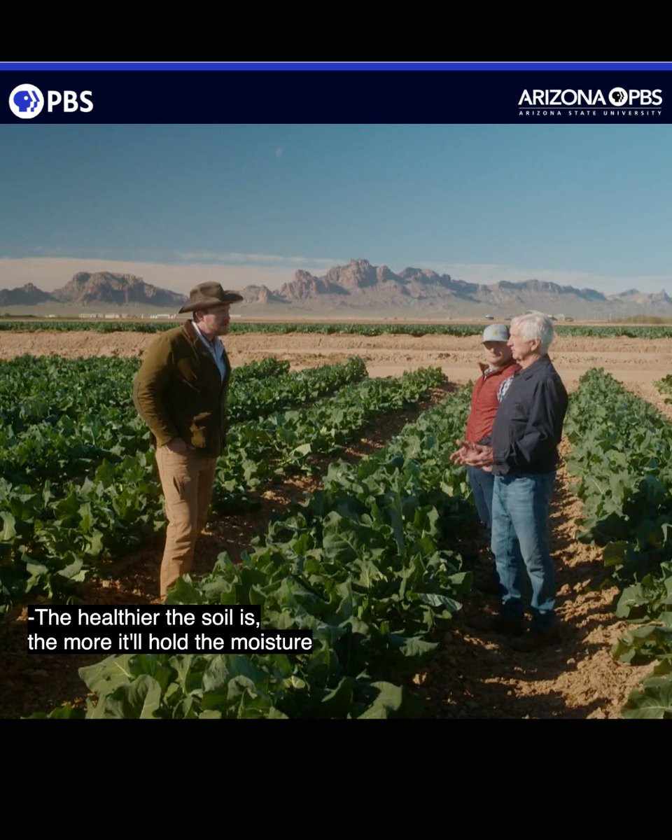 MyLand Agriculture, A Soil Health Company tweet media