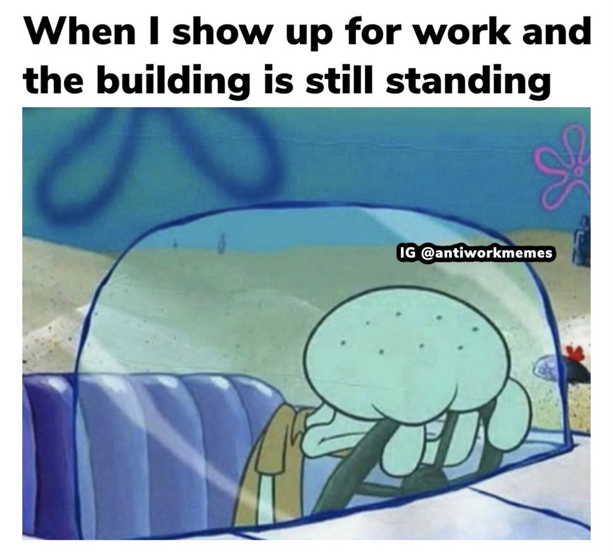 Work Memes tweet media