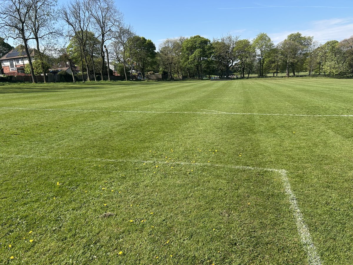 MossBankJFC tweet media