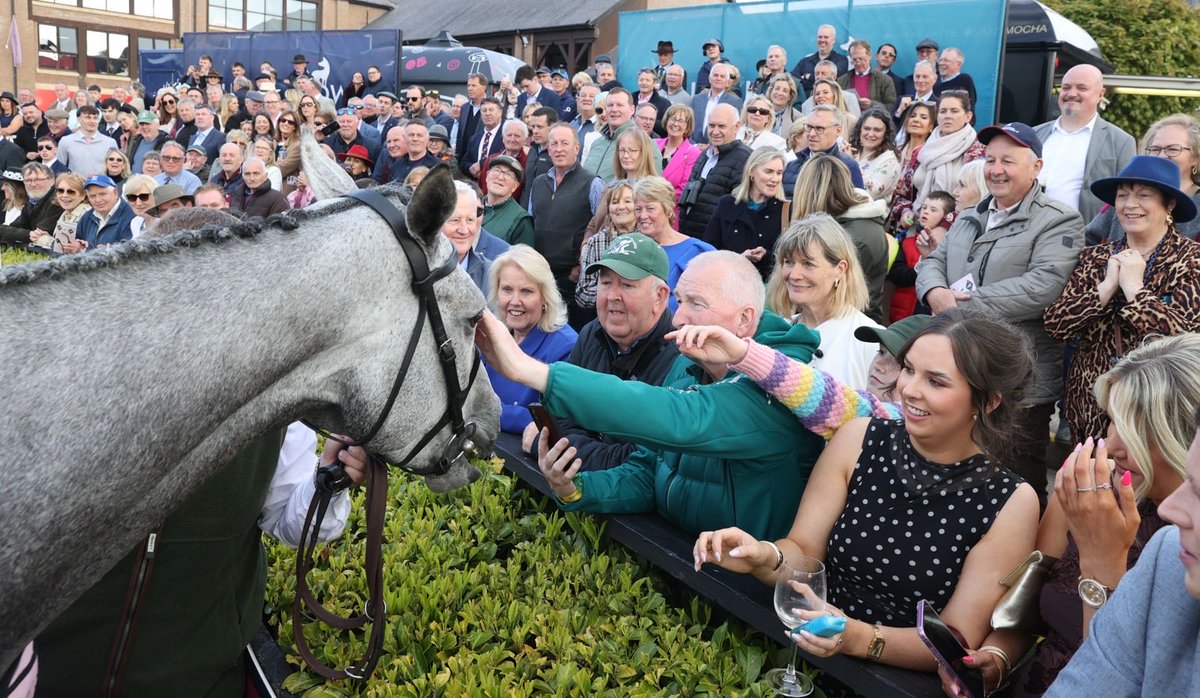 Willie Mullins tweet media