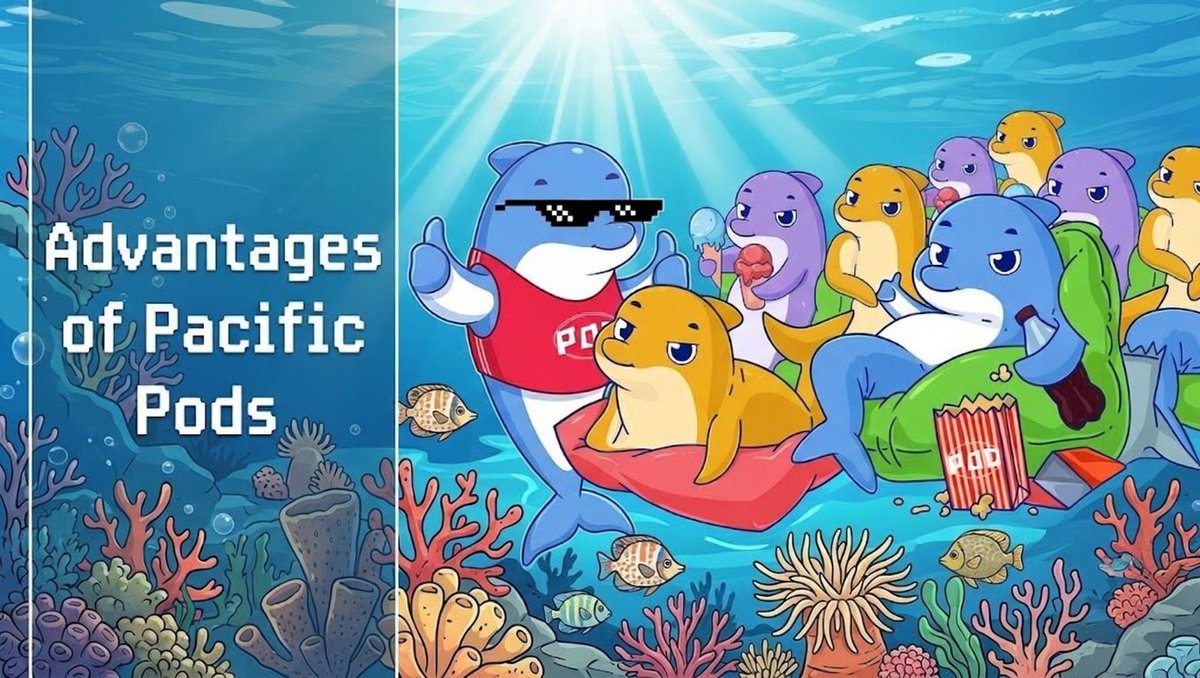 Pacifica Daily tweet media