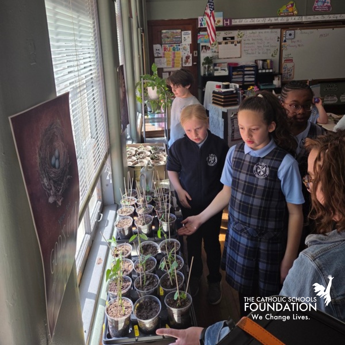 csf_boston's tweet image. Something special is growing at Saint Michael School 🌿 Hands-on learning shines with chicks 🐣, Marigold 🐄, and scholar Jameina 🎓! #CSFBoston #SaintMichaelSchool #HandsOnLearning #AdoptACow #PeterLynchScholar #FutureLeaders #CatholicEducation
