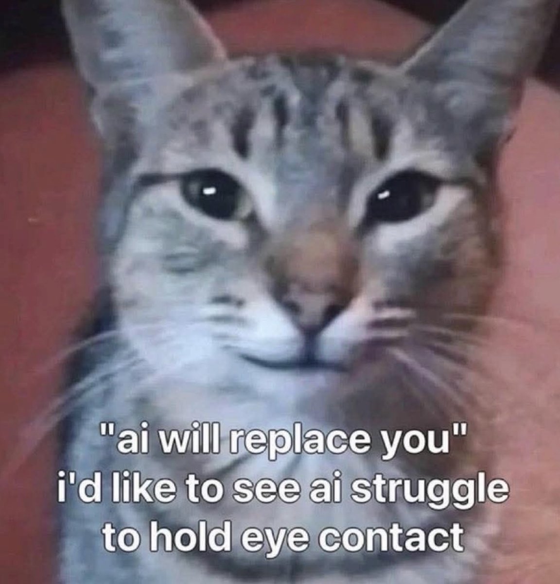 Respectful Memes (@respectfulmemes) on Twitter photo 