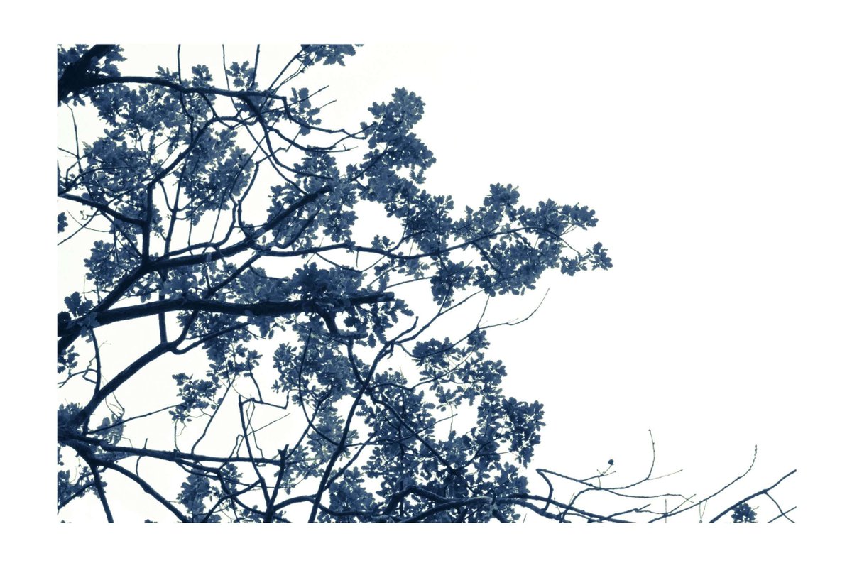 DUEALBERI's tweet image. Are your clients craving art that tells their unique story? I create custom, museum-quality pieces tailored to your vision. Let’s make your next project unforgettable. Discover exclusive options today: duealberi.com/product/large-…
#InteriorDesign #CustomArt