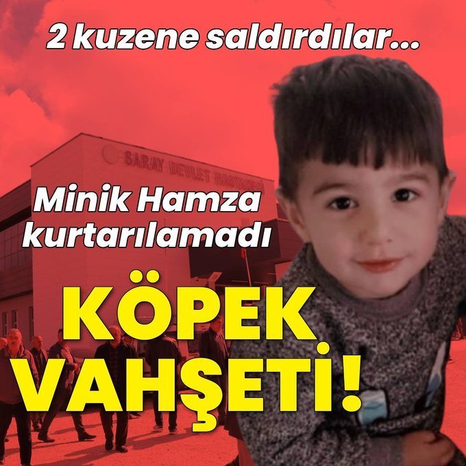 Doğa Dostu tweet media
