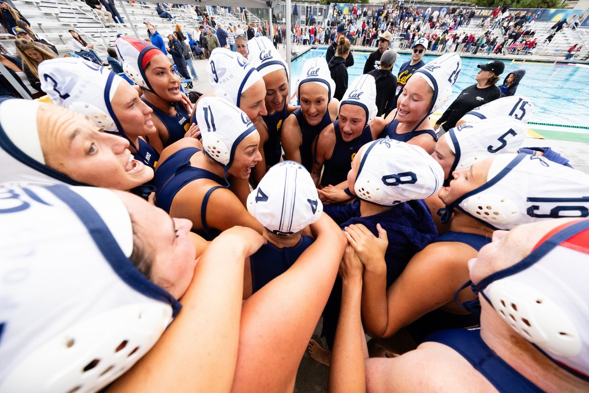 Cal Women’s Water Polo tweet media