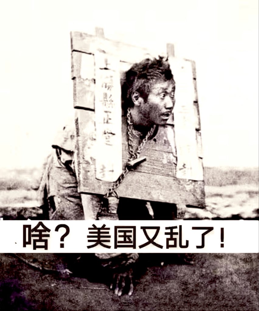 世界历史宝爷 tweet media