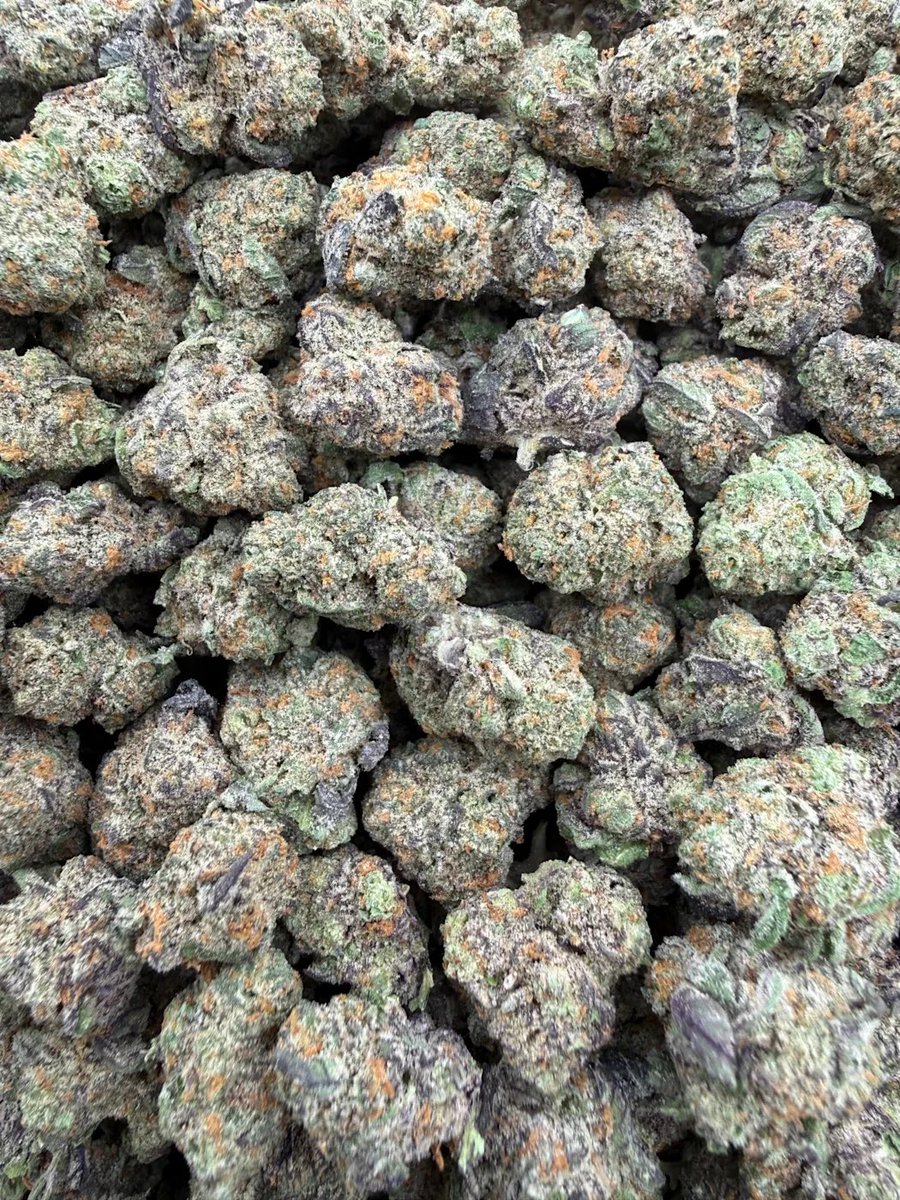 KushWorld tweet media