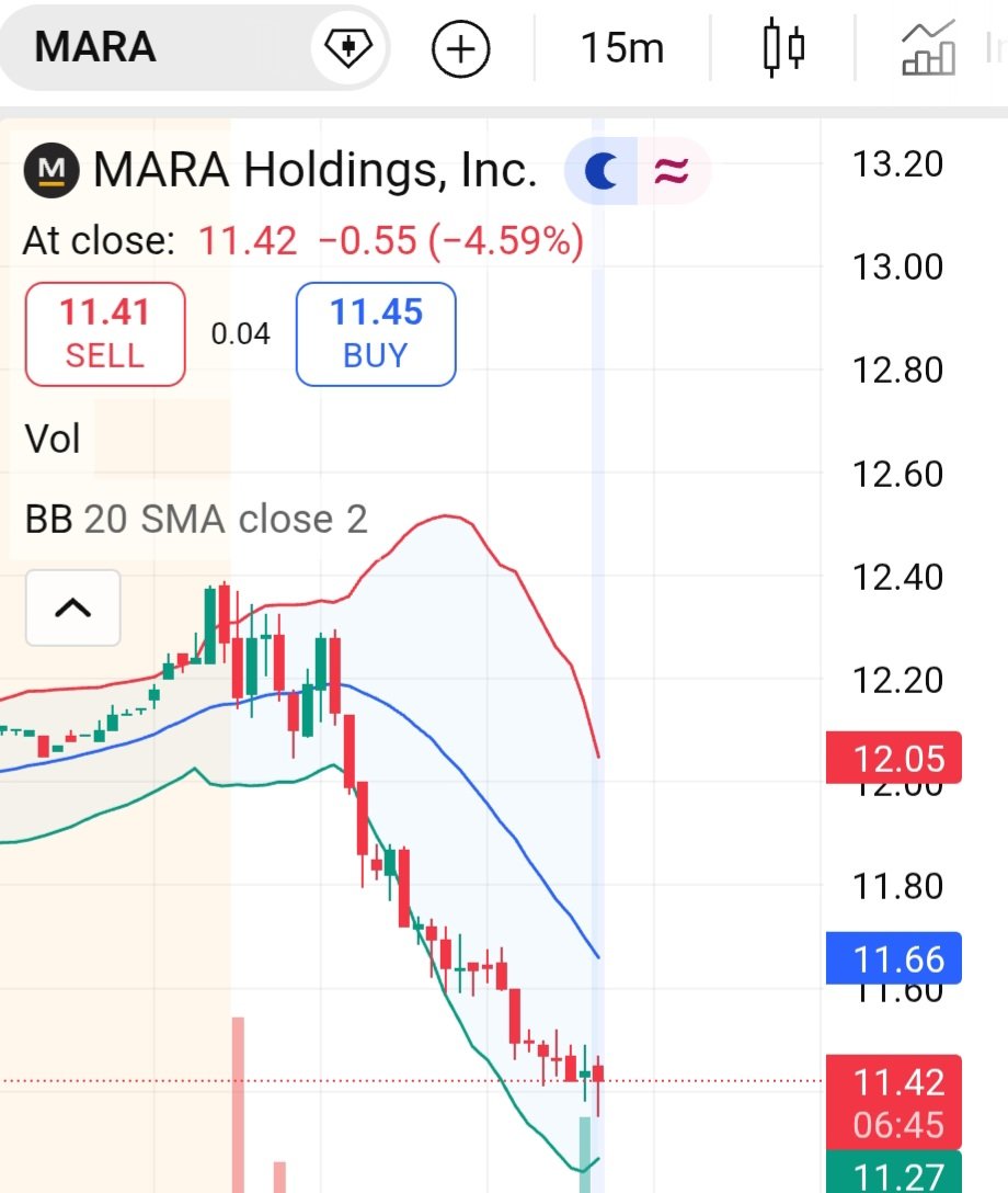 100DollarMARA tweet media