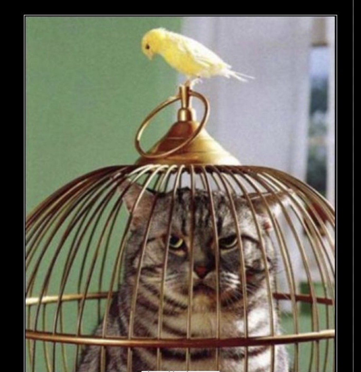 EliGuercio tweet media