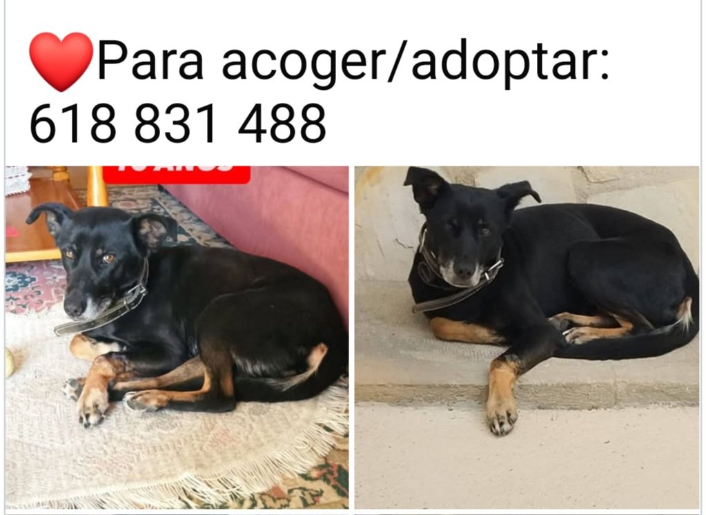 Lola tweet media