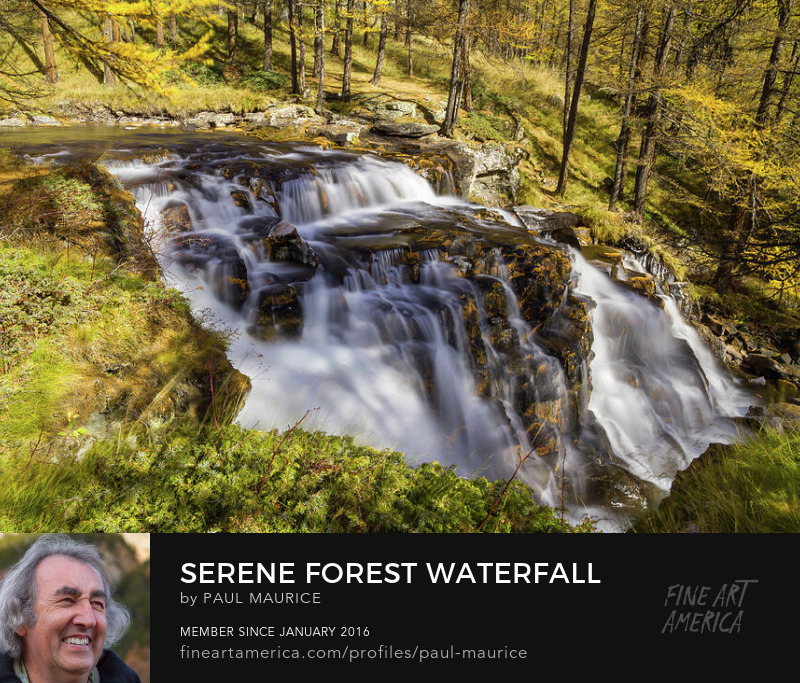 apollo0300's tweet image. Serene Forest Waterfall

fineartamerica.com/featured/seren…

#alpesdusud #alps #autumn #waterfall #colorsoffall #frenchalps #HautesAlpes #hautesalpestourisme #Lovepaca #travelphotography  #paulcmaurice #artforsale #buyintoart #fineart #giftidea #giftideas #homedecor #wallart #FindYourThing