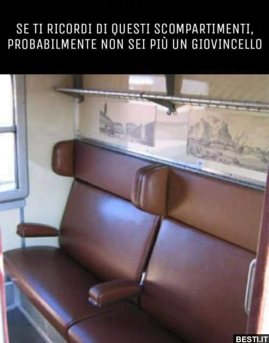 anna maria moscarell tweet media
