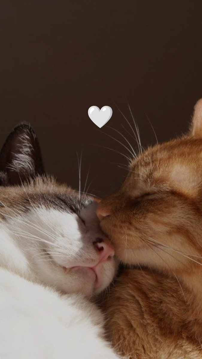Sol ☼ (@solithra) on Twitter photo 