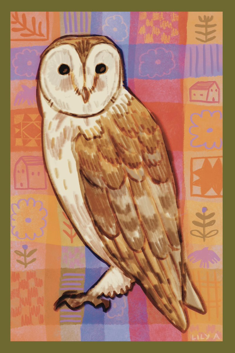 a warm owl