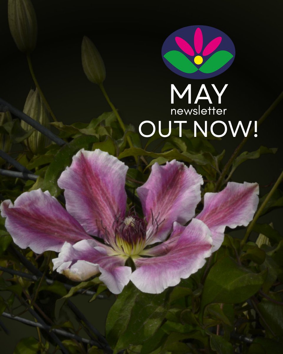 mygardenbag's tweet image. 👩🏻‍🌾Give your yard the royal treatment!👩🏻‍🌾

✅Make sure to read on and grab this months discount code!✅

💧Make sure to also check for water restrictions on your local cities website!
#gardendesign #garden #gardenlife #surreybc #vancouverbc #mygardenbag #groundworksupply #vancouver