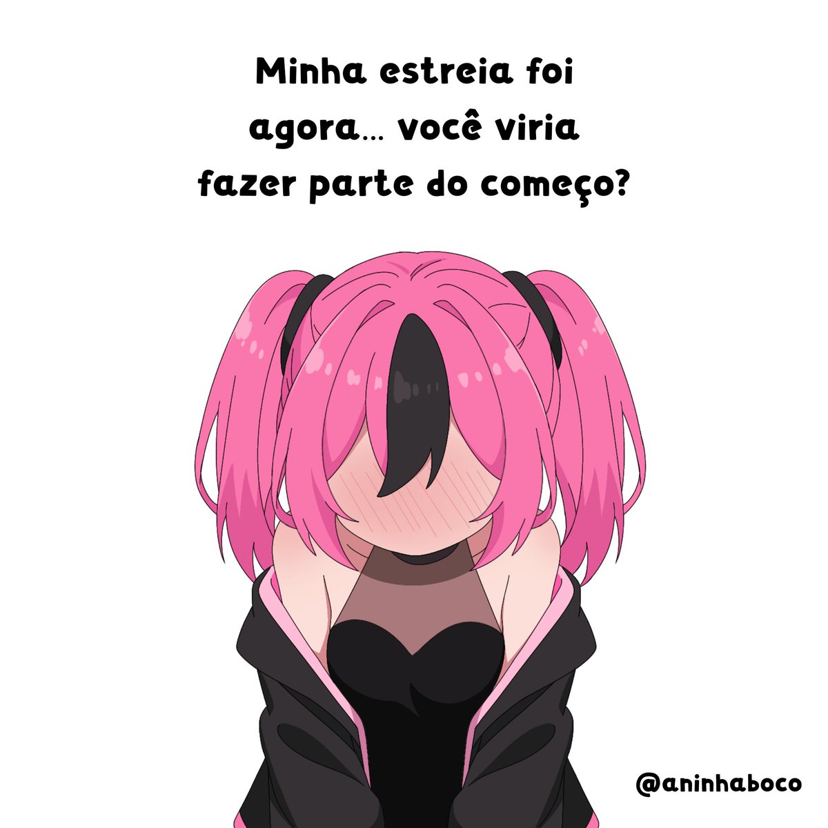 Aninha Bocó ✦ VTUBER tweet media