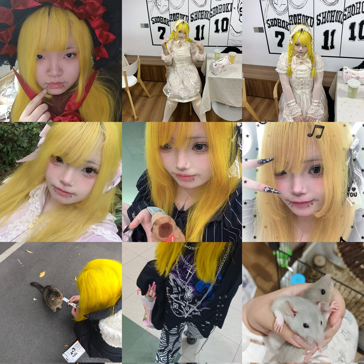 紫月晓 tweet media