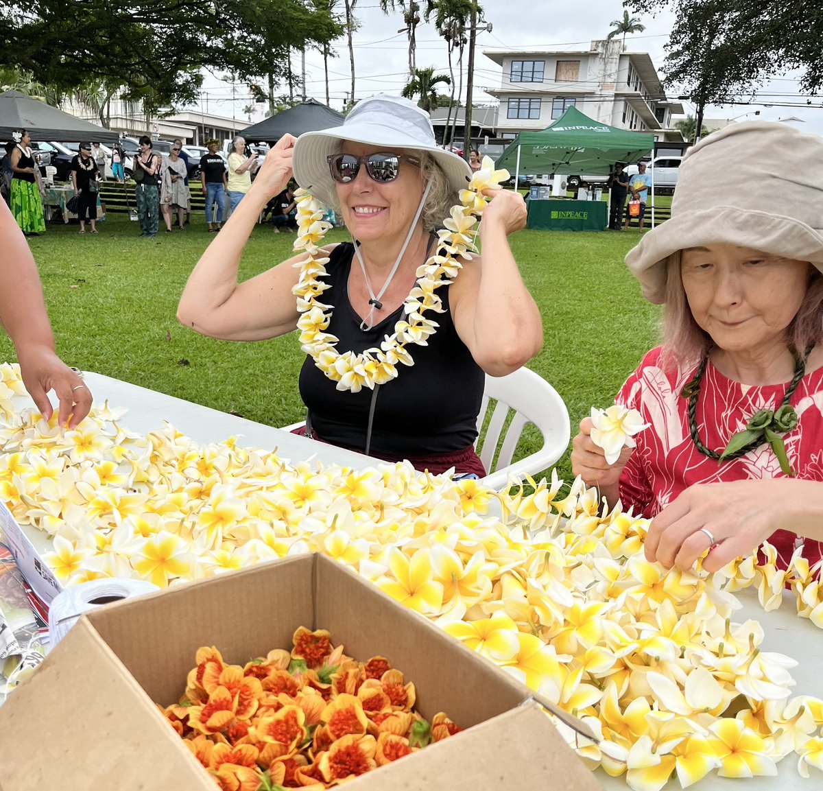 SylvieDahl's tweet photo. Hawaiian word of the day: lei (lay) = garland, wreath; necklace of flowers, leaves, shells, feathers, etc, given as a symbol of affection #LeiDay #AlohaFriday #MayDay #LeiDayInHawaiiNei https://t.co/YoRFRfpNMV