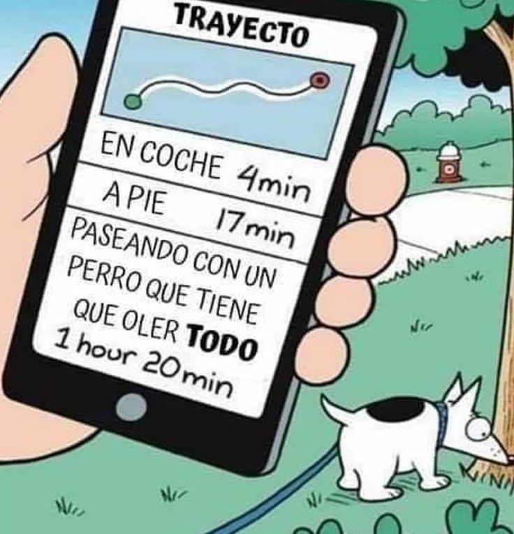 Max 🇦🇷 tweet media