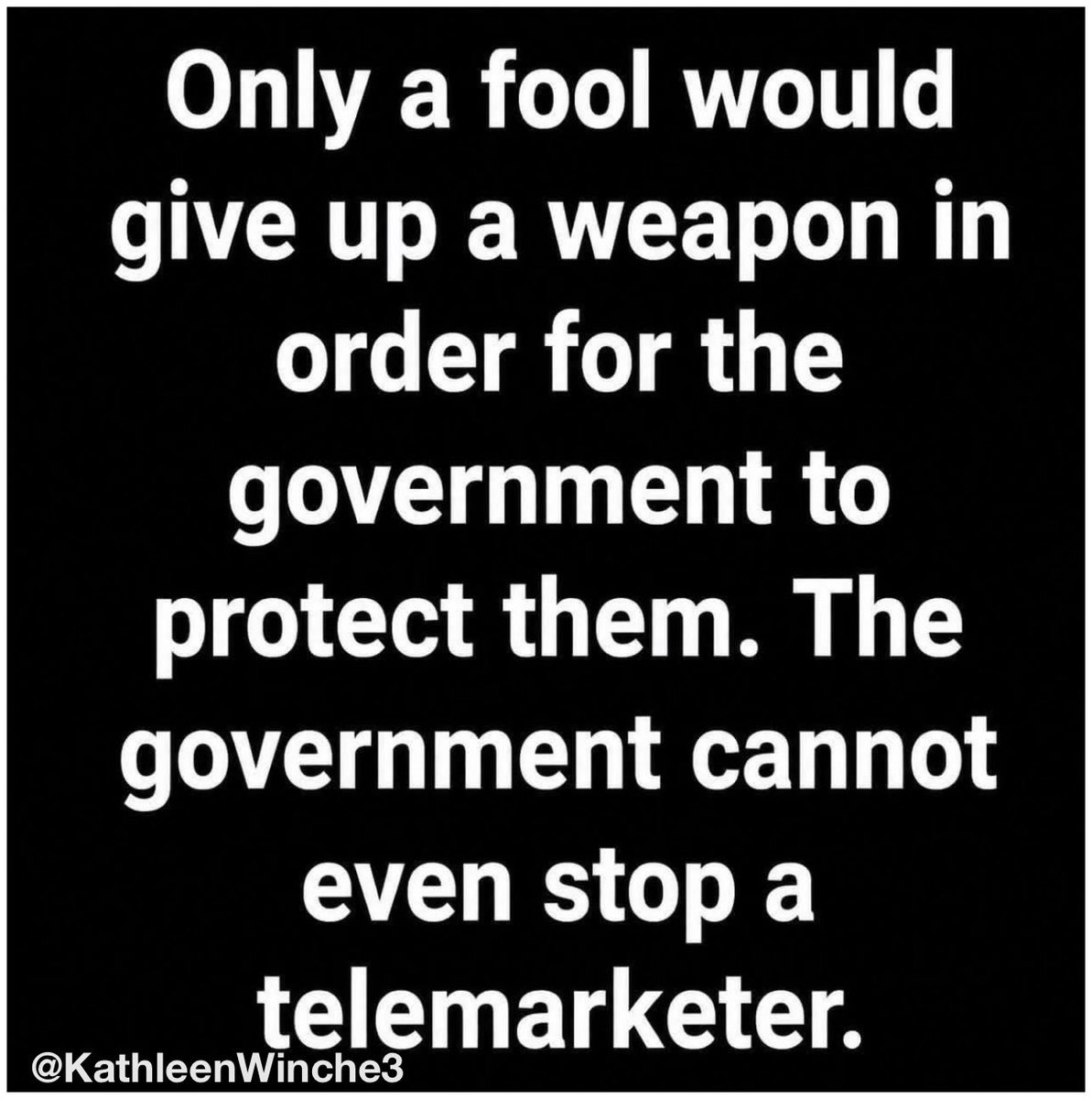 Kathleen Winchell ❤️🤍💙🇺🇸🇺🇸 tweet media