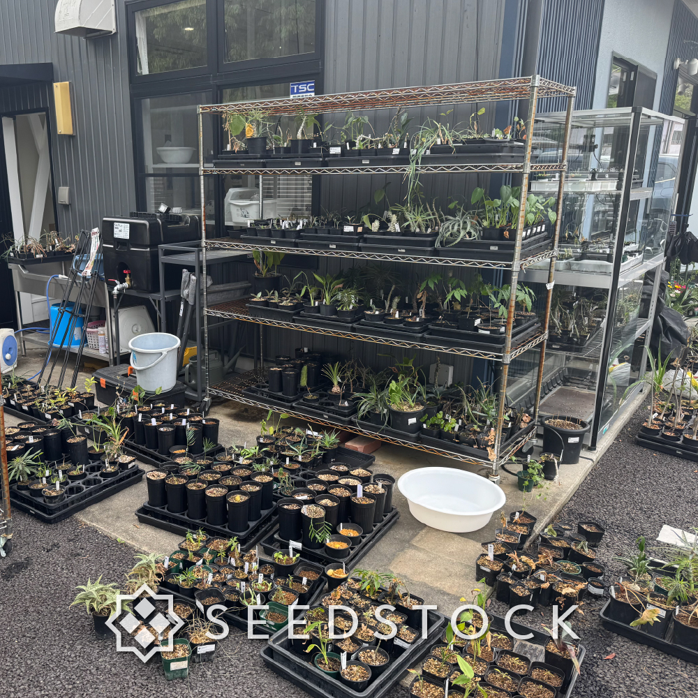 SEEDSTOCK (@seedstock_jp) / Posts / X