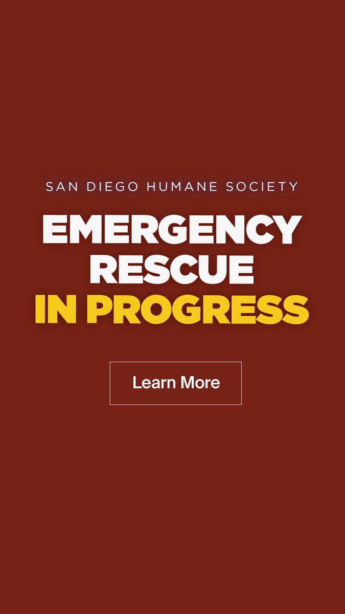 San Diego Humane Society tweet media