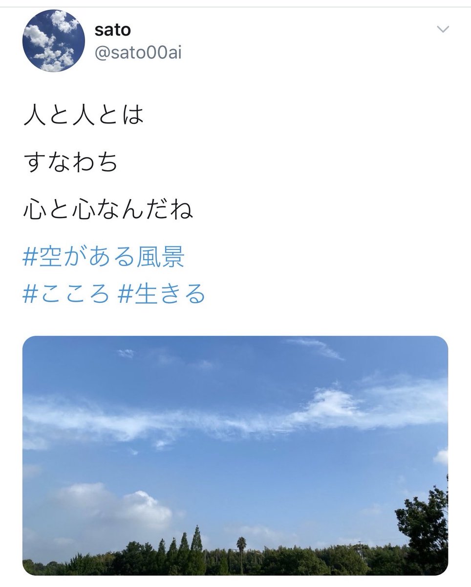 sato tweet media