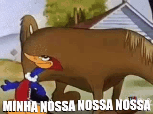 Loomis virou fã do Sainz tweet media