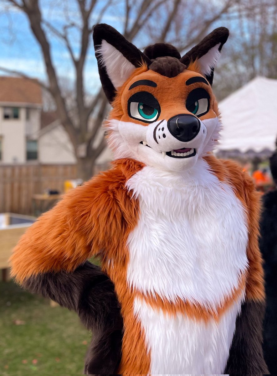 Sondyr. 🦊 tweet media